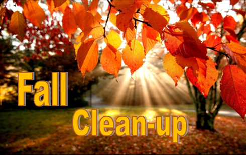 fall clean up